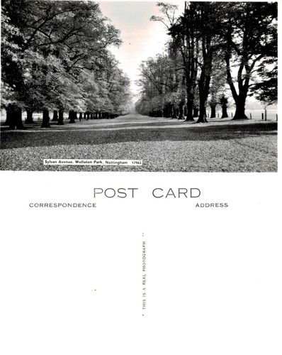 Vintage postcard sylvan - vintage,