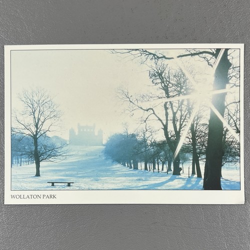Wollaton park winter - wollaton,