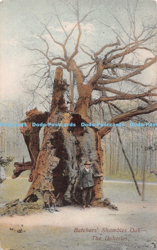 R546257 butcher shambles oak - r546257,