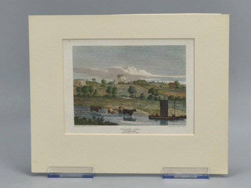 Antique hand coloured - antique, hand-coloured