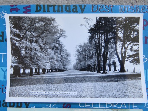 Vintage 1961 nottingham - vintage,