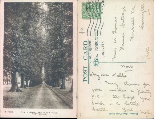 The avenue wollaton hall - wollaton,