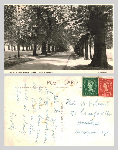 Vintage postcard wollaton - -,