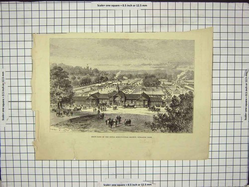 Original old antique print - original,