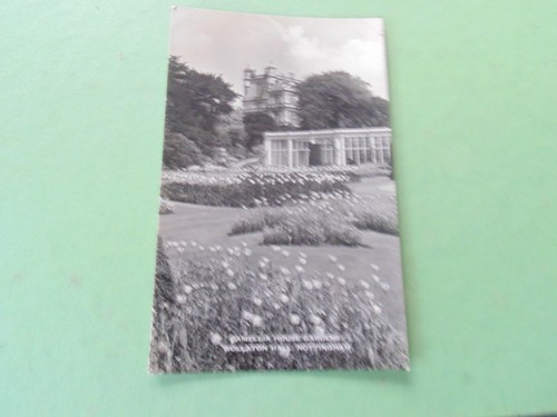 Camellia house gardens - camellia,
