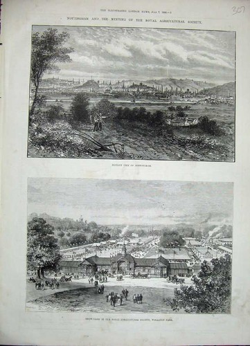 Nottingham show yard - show, wollaton